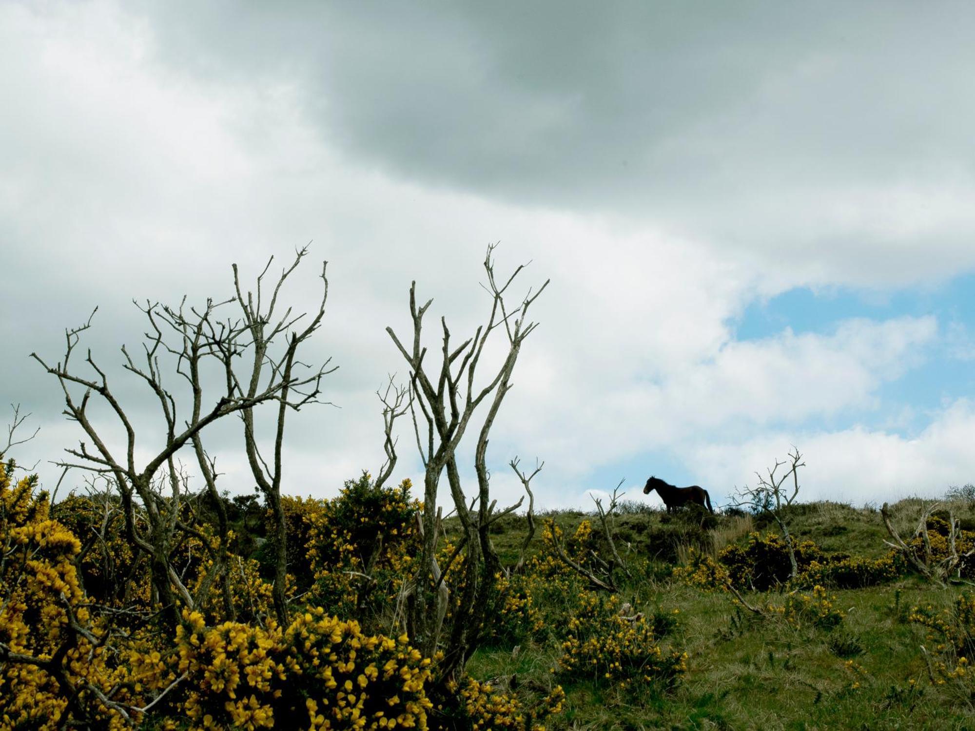 Хостел Yha Dartmoor Postbridge Экстерьер фото
